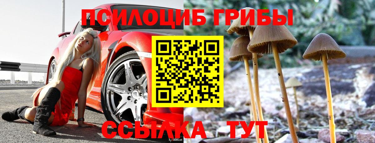 Псилоцибиновые грибы прущие грибы  Вход с VPN  купить закладку  Галлюциногенные грибы MAGIC MUSHROOMS  Аргун 